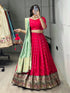 Red Pista Pure Paithani Silk Zari Weaving Work Paithani Chaniya Choli 