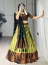 Pista Pure Silk Zari Weaving Kalamkari Weaving Border Lehenga Choli 