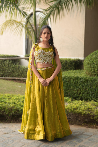 Antique Gold Pure Fendy Plain Flairy Kali Work Lehenga Choli 