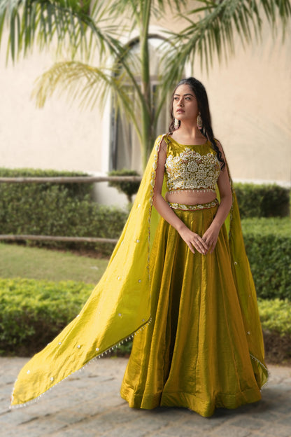 Antique Gold Pure Fendy Plain Flairy Kali Work Lehenga Choli 