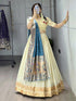 Rama Pure Paithani Silk Zari Weaving Work With Border and Butti Lehenga Choli 