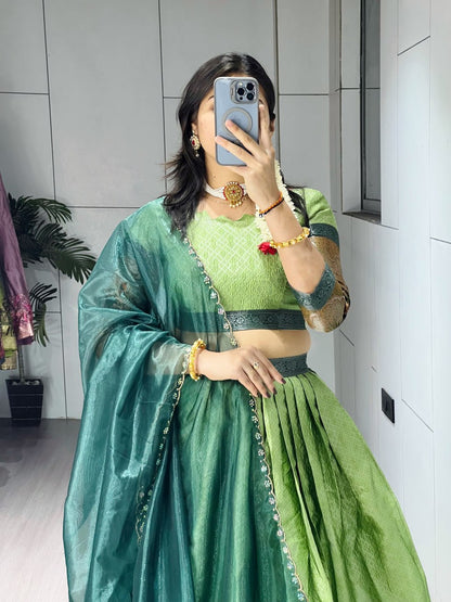 Parrot Pure Silk Zari Weaving Kalamkari Weaving Border Lehenga Choli 