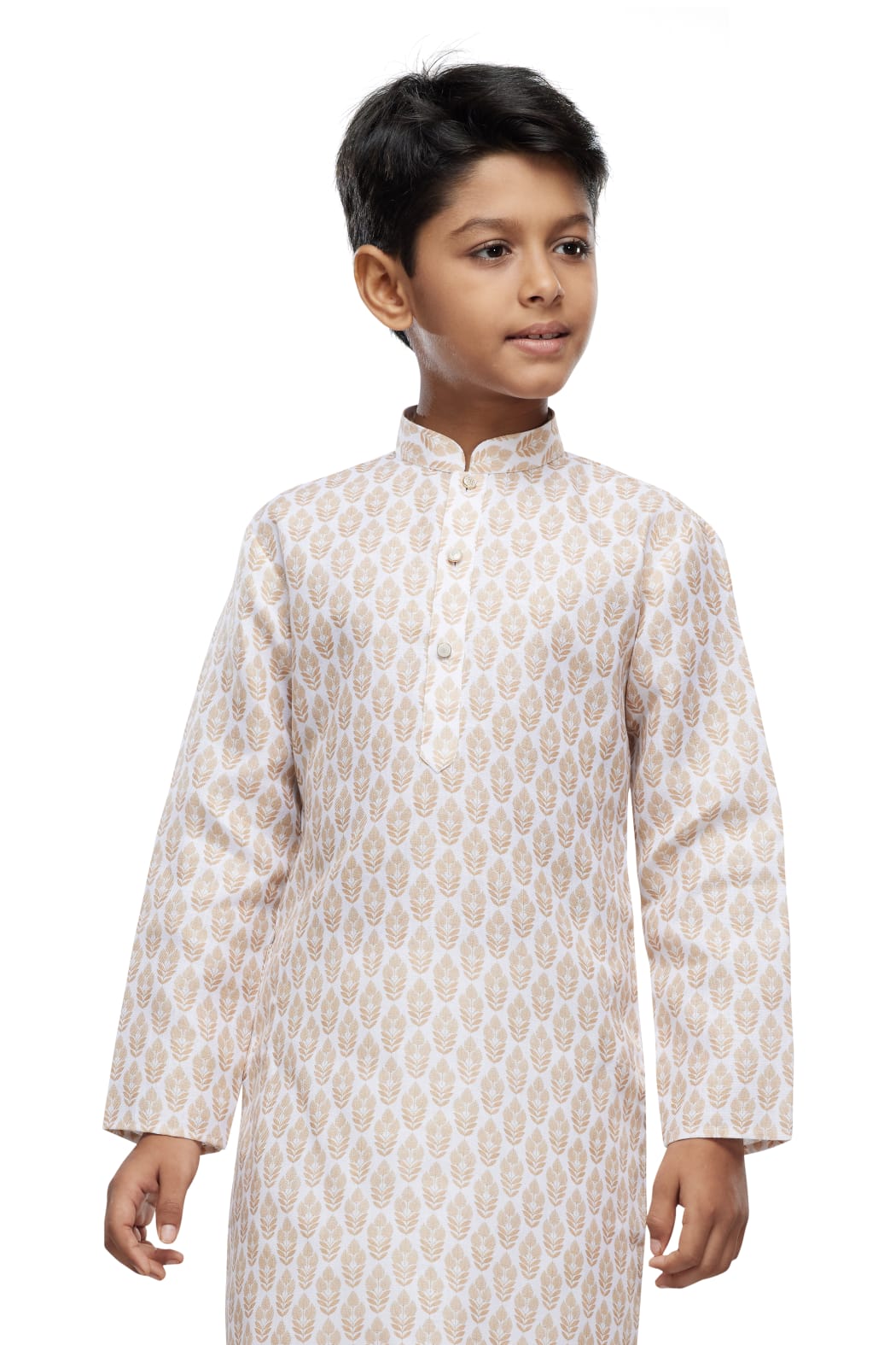 Beige Pure Soft Art Banarasi Silk Digital Print Boys Kurta Pajama