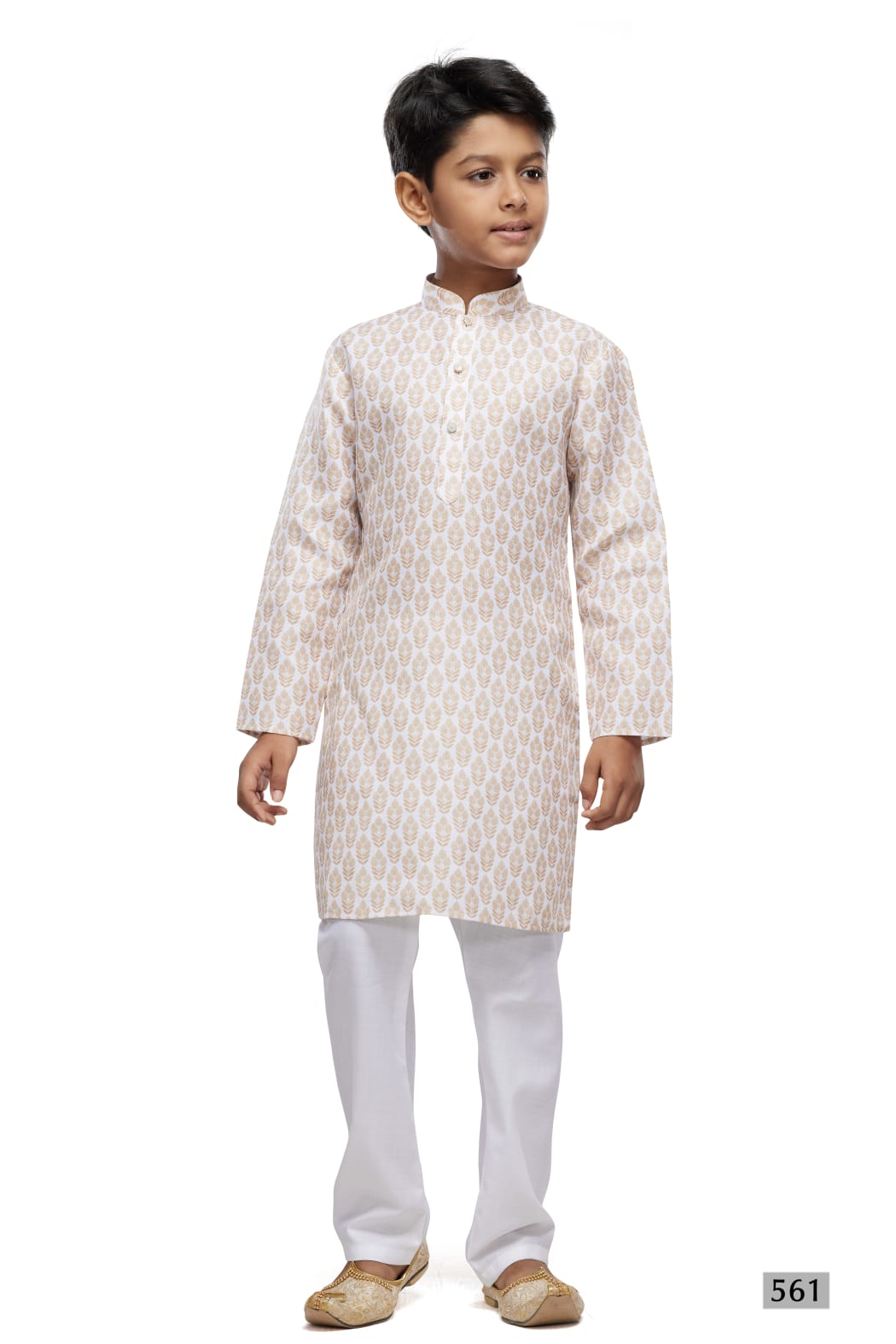 Beige Pure Soft Art Banarasi Silk Digital Print Boys Kurta Pajama