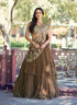 Coffee Pure Soft Marble Silk Sequins Work Paithani Lehenga Choli