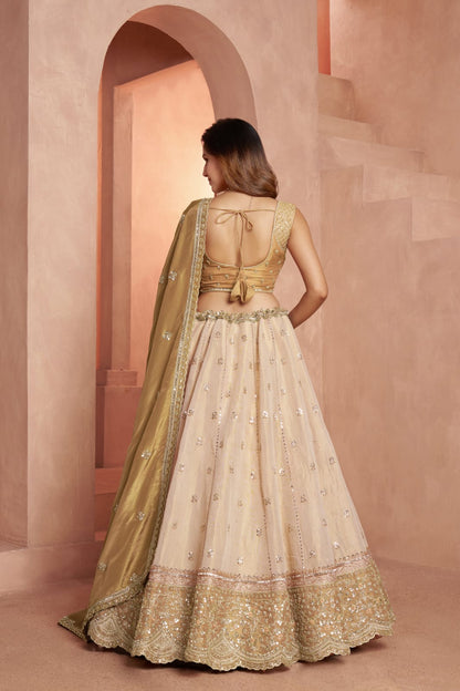 Gold Beige Kanjivaram Tissue Silk Embroidered Lehenga Choli