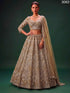 Golden Pure Heavy Net Monochrome Sequins Zari Embroidery Work Net Bridal Lehenga Choli