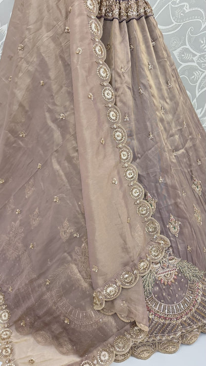 Cadet Pure Chandnia Silk Handwork Motif Peacock Pattern Crystal Beads Multi Thread Dori &amp; Sequins Work Bridal Lehenga Choli