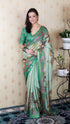 Sea Green Soft Tussar Silk Pattachitra Traditional Printed Zari Tussar Saree Tussar Saree Anant Tex Exports Pvt.Ltd..