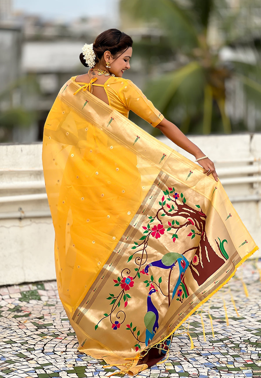 Yellow Organza Paithani Zari Organza Saree Organza Saree Anant Tex Exports Pvt.Ltd..