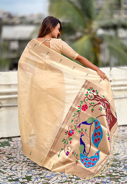 Chickoo Organza Paithani Zari Organza Saree Organza Saree Anant Tex Exports Pvt.Ltd..