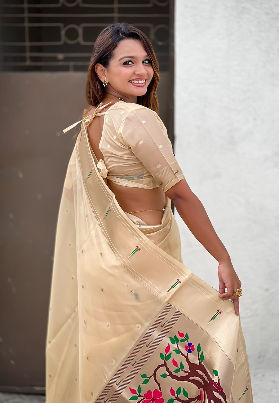 Chickoo Organza Paithani Zari Organza Saree