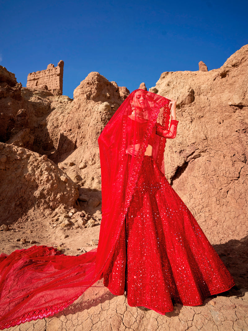 Red Pure Net Lehenga with Mirror and Zarkan Work