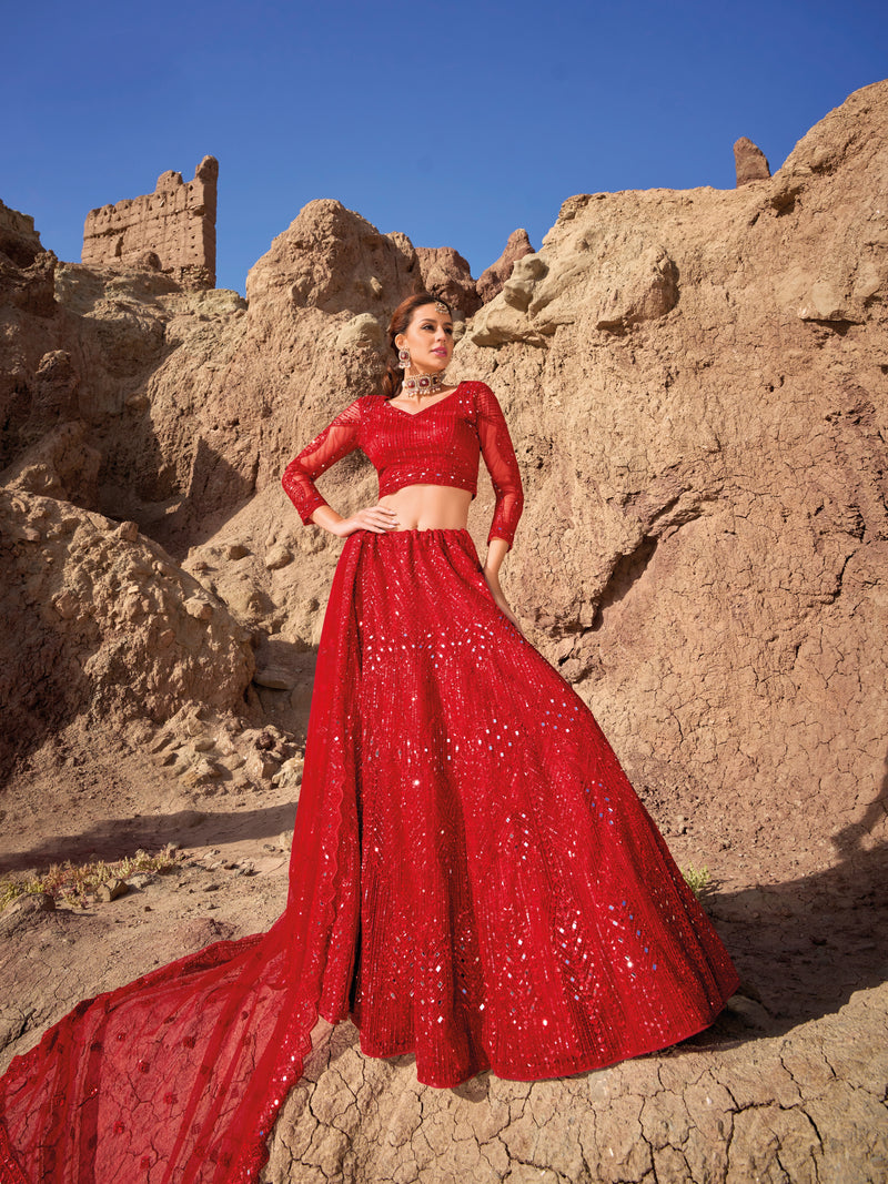 Indian Red Net Lehenga with Dupatta and Blouse
