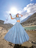 Sky Blue Net Lehenga Choli with Mirror Work