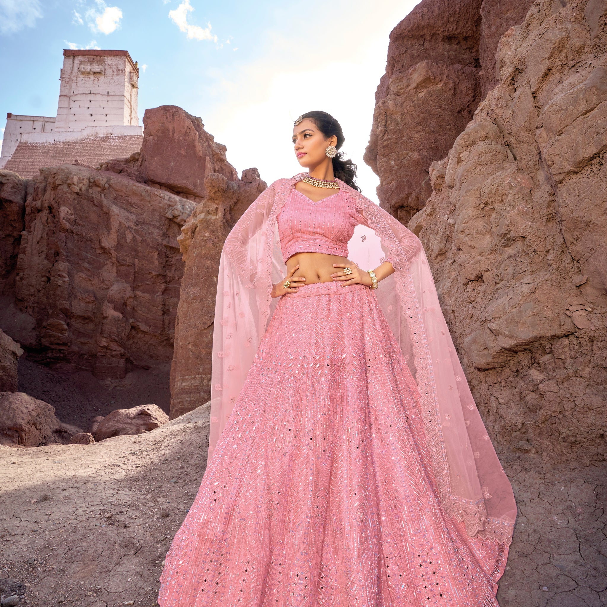 Blush pink lehenga with mirror and zarkan embroidery