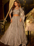 Slate Grey Heavy Diamond & Mirror Work Net Lehenga Designer Lehenga Anant Tex Exports Pvt.Ltd..
