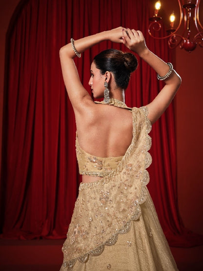 Beige Banarasi Tissue Crush Lehenga Choli with Zari &amp; Swarovski Work