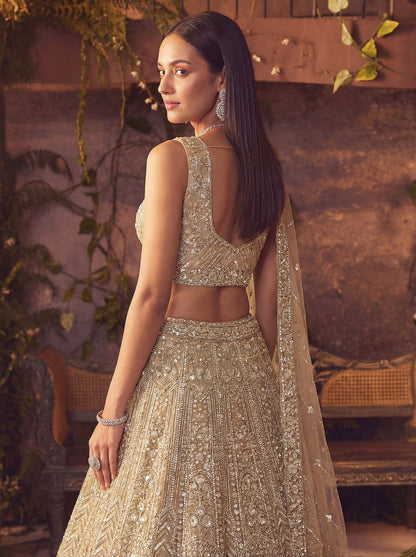 Beige Pure Soft Net Heavy Embroidery Work Bridal Lehenga 
