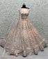 Bridal Lehenga Choli