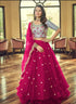 Party Wear Lehenga Choli