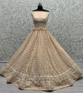 Bridal Lehenga Choli