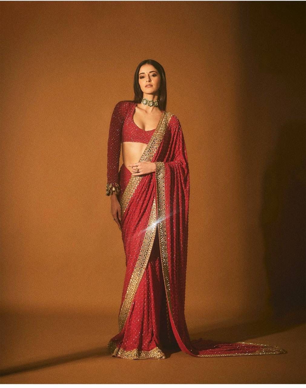 Sequins Saree