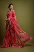 Sequins Saree