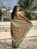 Kashmiri Pashmina Silk Saree