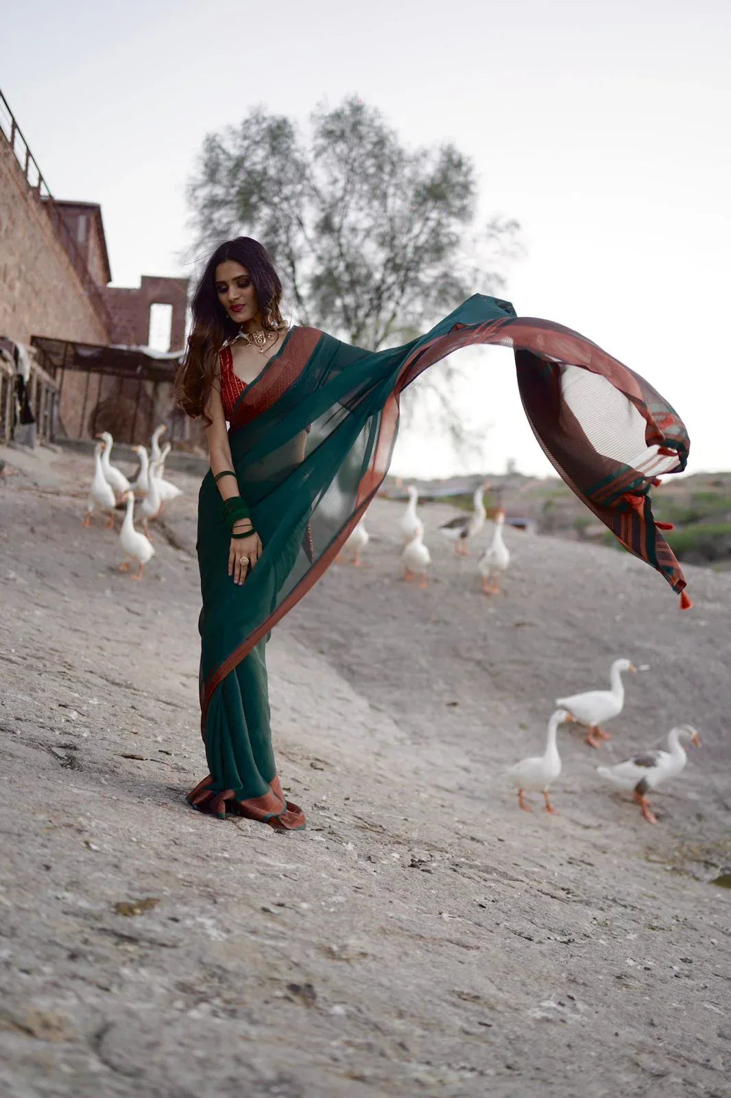Kaisha Fancy Chiffon Saree - Anant Exports