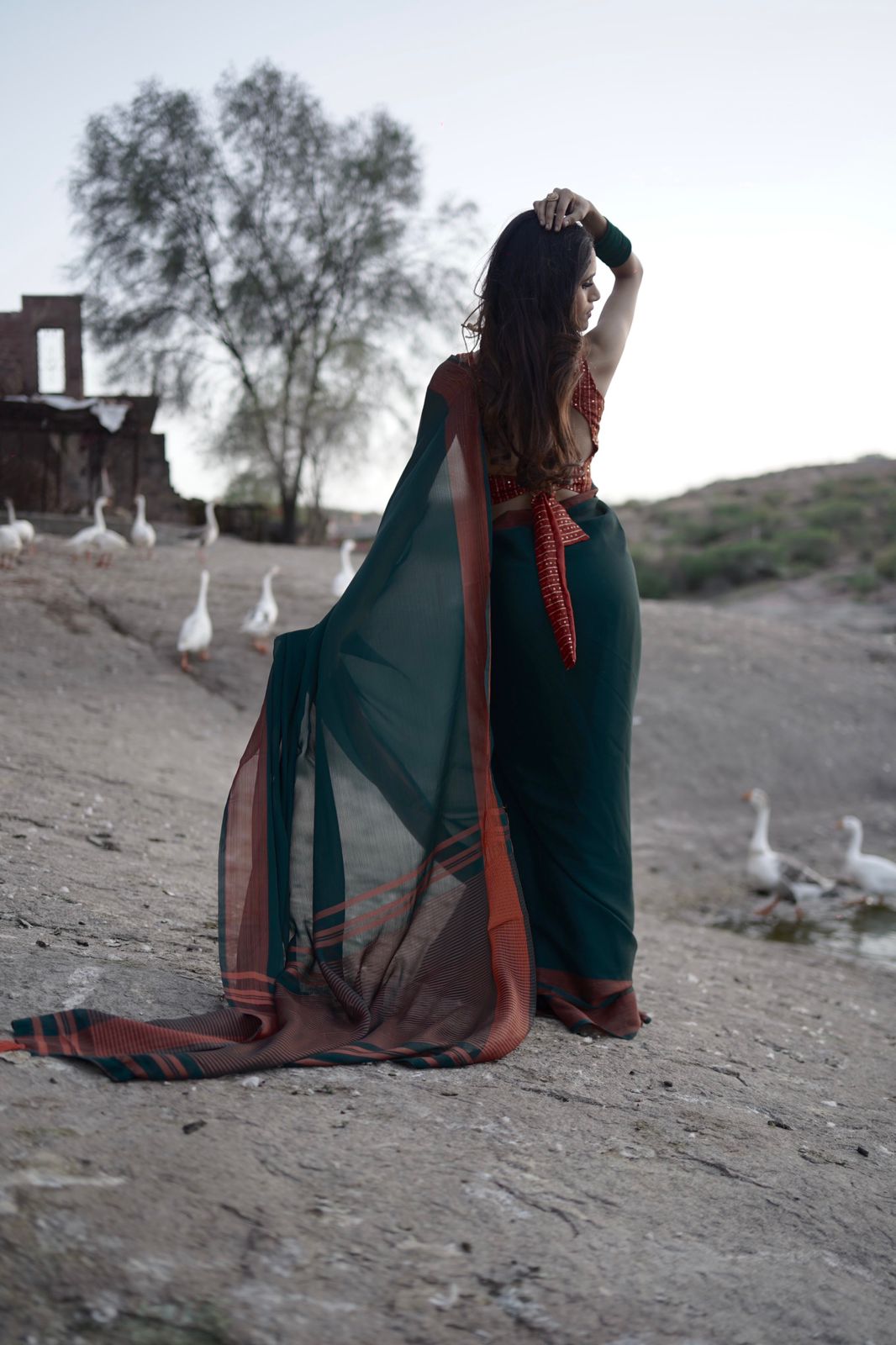 Kaisha Fancy Chiffon Saree