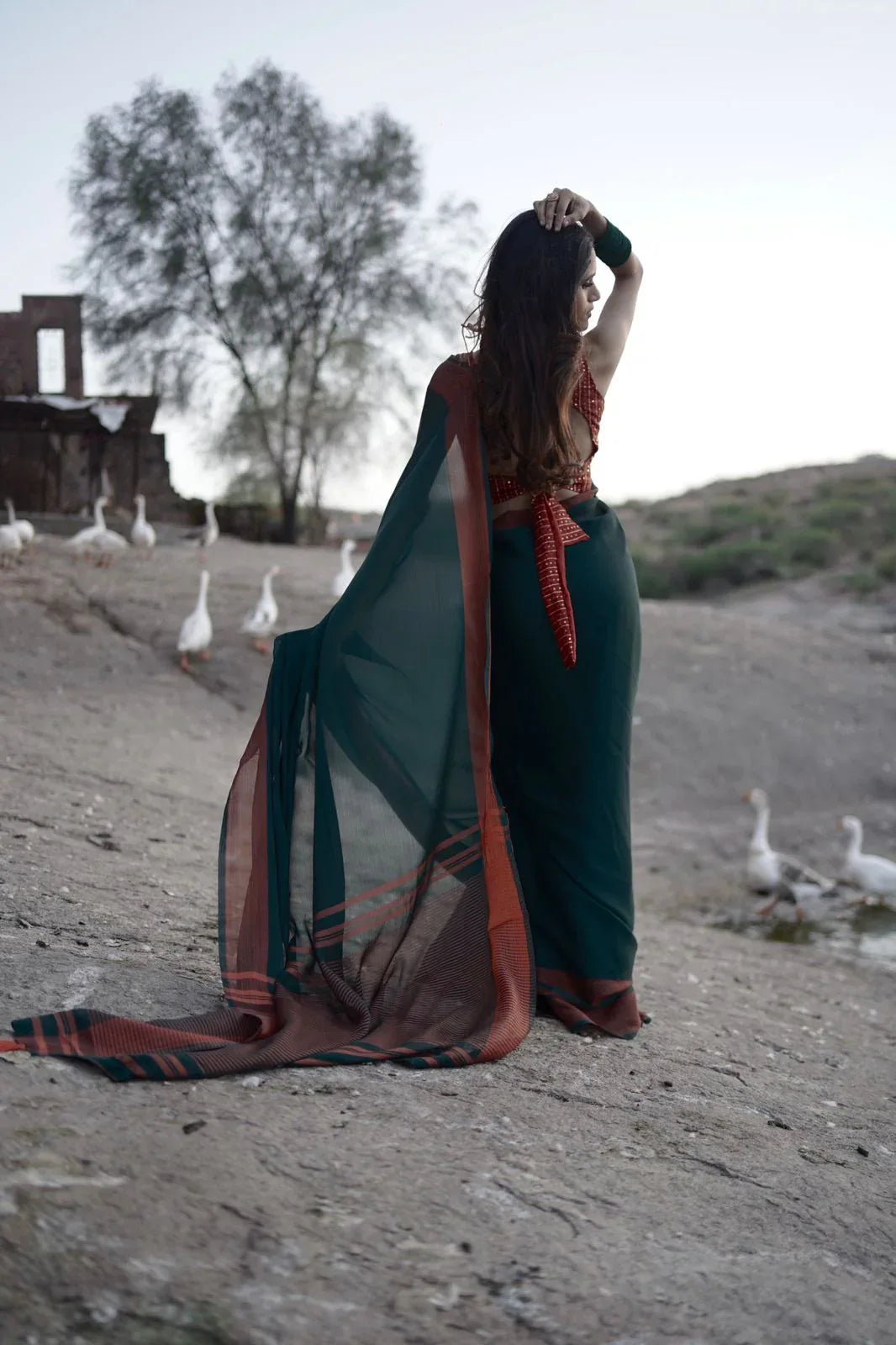 Kaisha Fancy Chiffon Saree - Anant Exports