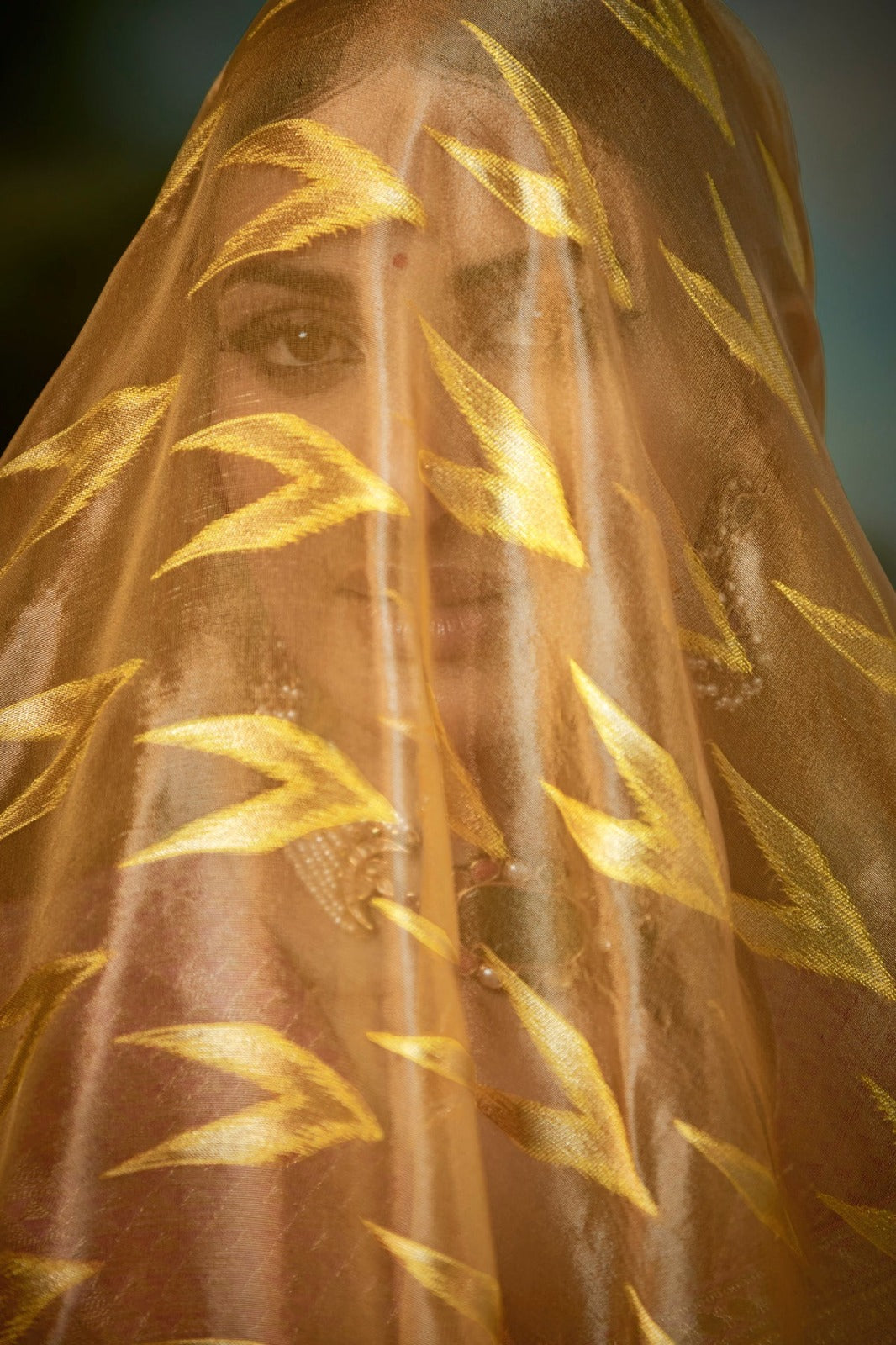 Kajal-12 Designer Occasion Wear Saree D.No 5244