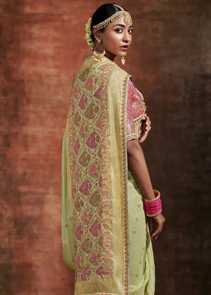 Ranisa Fancy Kashmiri Saree D.No SA-170 - Anant Exports