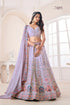Volume 48 Designer Occasion Wear Lehenga D.No 74005 - Anant Exports