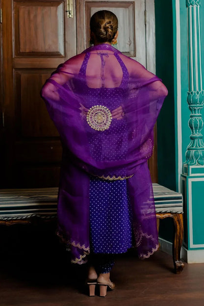 SINGLES FESTIVE WEAR SUIT D.NO 210 - Anant Exports