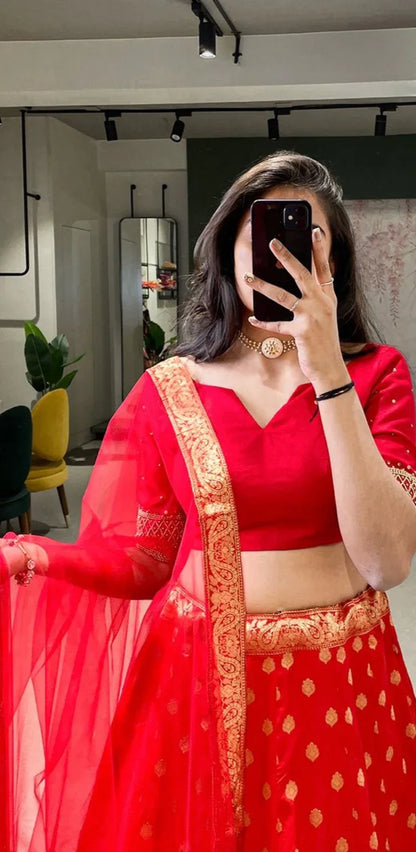 Fancy Wear Lehenga Choli D.No. 2032 - Anant Exports