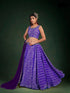 Party Wear Fancy Printed Lehenga Choli D.No. 30010 - Anant Exports