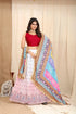 Fancy Wear Shimmer Lehenga Choli - Anant Exports