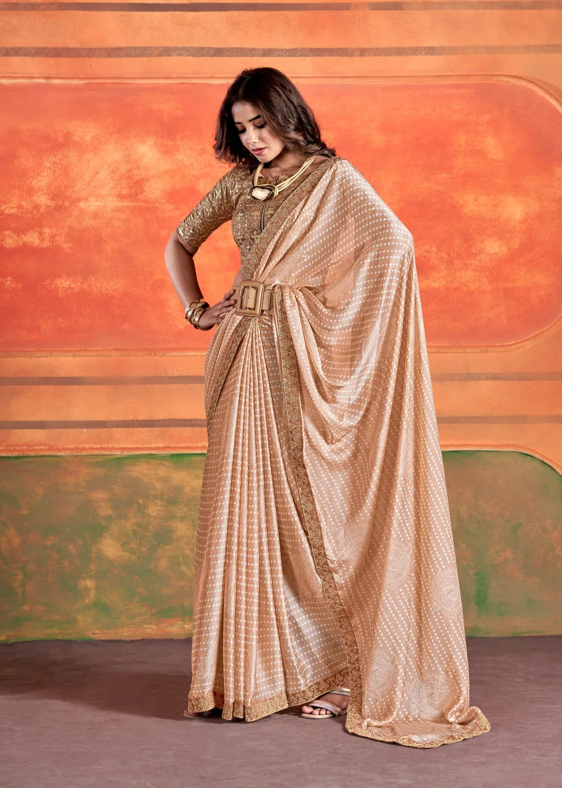 Stavan Chiffon Embroidery Saree D.No. 101 - Anant Exports