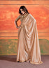 Stavan Chiffon Embroidery Saree D.No. 101 - Anant Exports