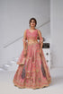 Pink Banarasi Silk Bridal Lehenga with Heavy Peacock Embroidery Silk lehenga Anant Tex Exports Pvt.Ltd..