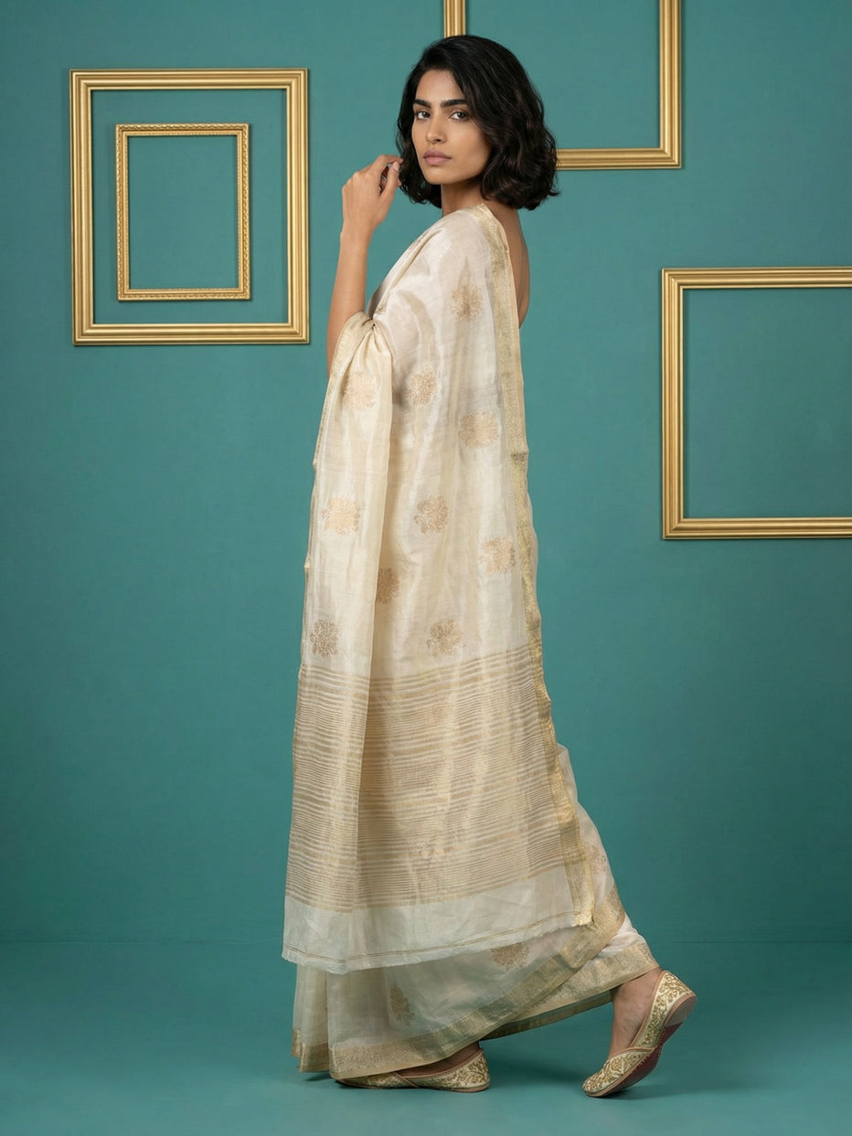 Chickoo Pure Tussar Silk Cross Stitch Embroidered Saree 