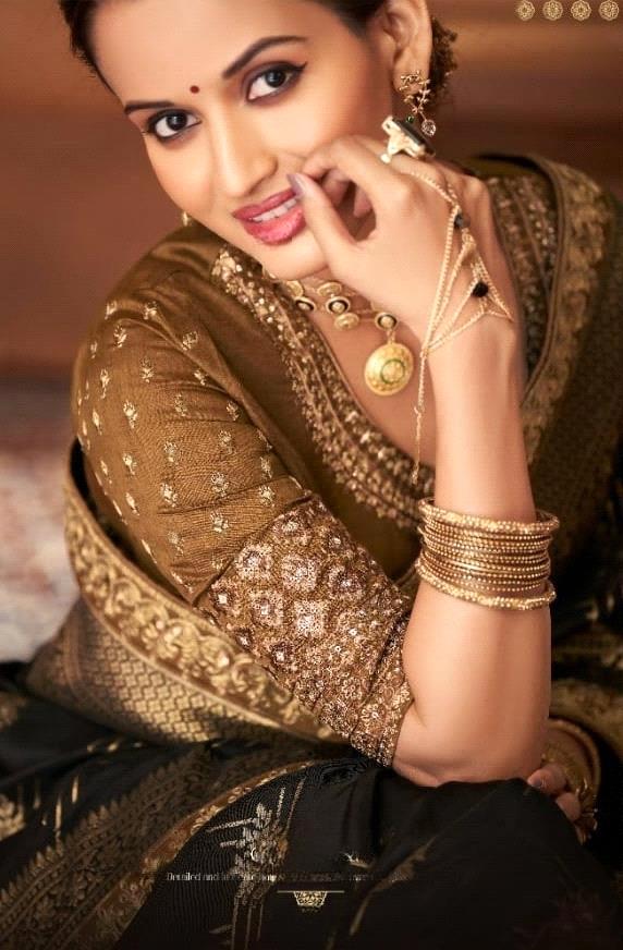 Anmol Meera Festive Wear Fancy Saree D.No 7005