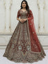 Cinnamon Pure Soft Orgenza Sequins Work Bridal Lehenga Choli Organza Lehenga Choli Anant Tex Exports Pvt.Ltd..