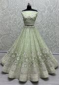 Bridal Lehenga Choli