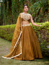 Bronze Color Embroidery Work Chaniya Choli 