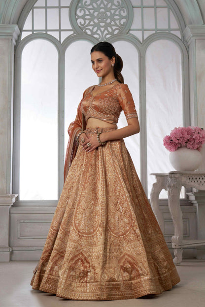 Copper Gold Kanjivaram Tissue Lehenga Choli with Tissue Dupatta