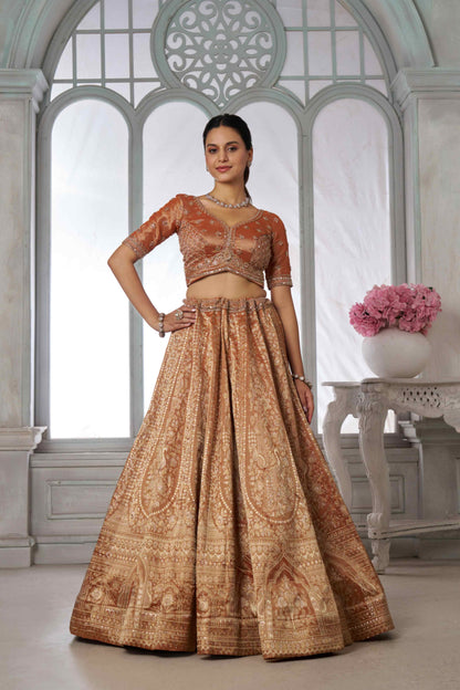 Copper Gold Kanjivaram Tissue Lehenga Choli with Tissue Dupatta