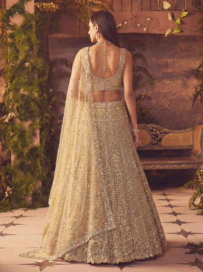 Beige Pure Soft Net Heavy Embroidery Work Bridal Lehenga 